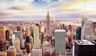 NY downpart